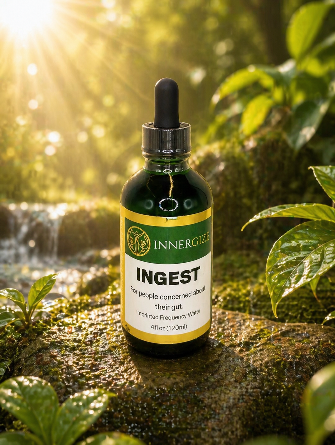 INGEST