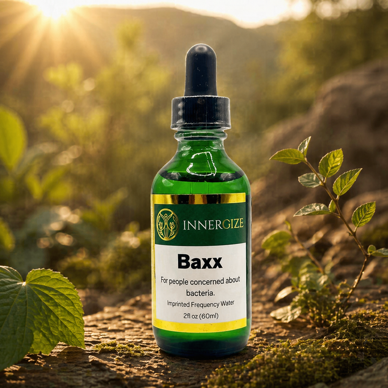 Baxx