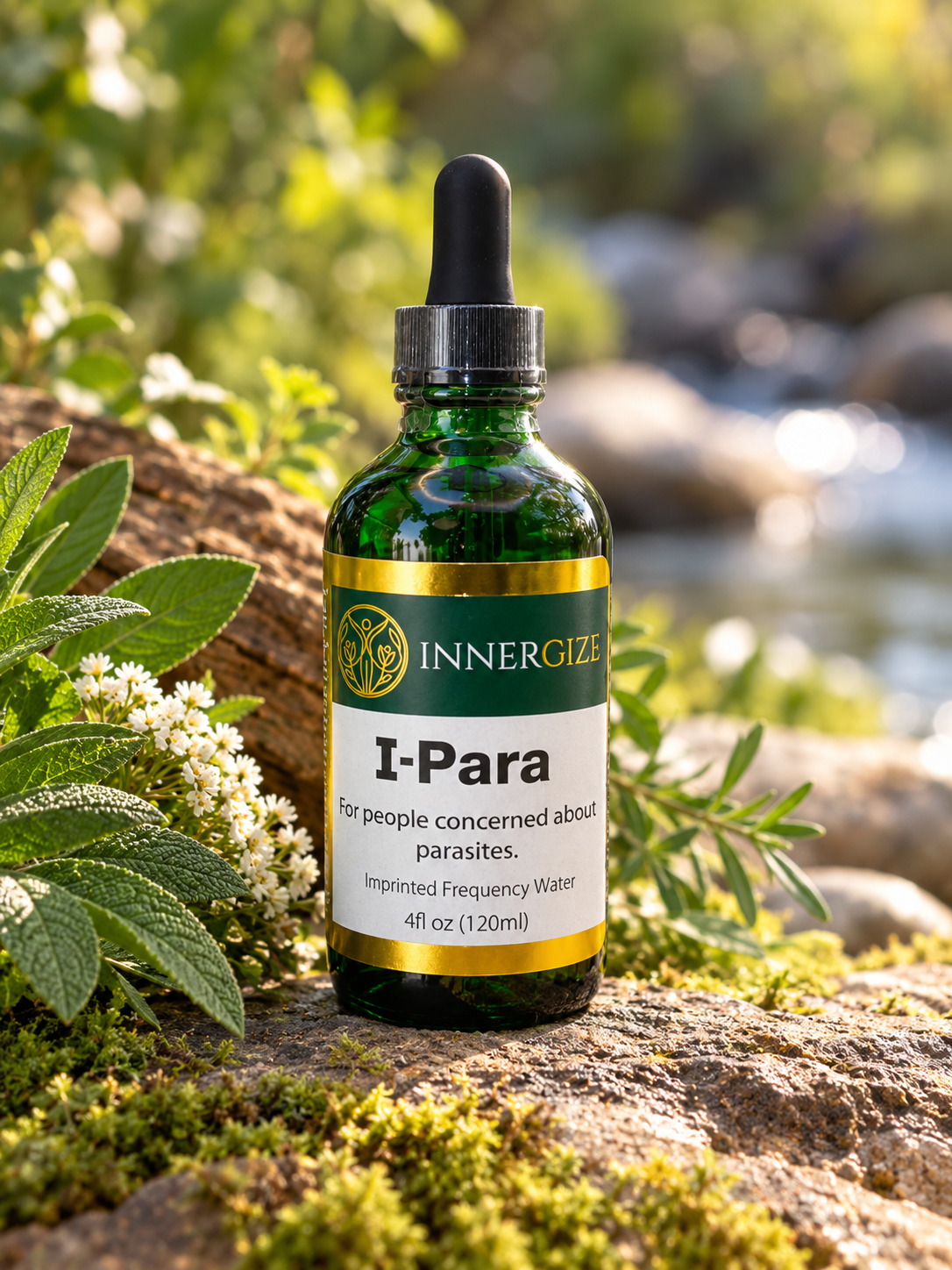 I-Para